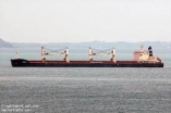 MV CRANE - UNDERWATER HULL CLEANING AND PROPELLER POLISHING AT VUNG TAU ANCHORAGE, VIETNAM