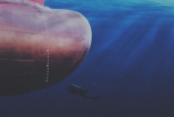 UNDERWATER HULL INSPECTION FOR VESSEL IN VISSAI PORT- VIETNAM