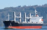 MV MARTIN ISLAND - CARGO HOLD HATCH COAMING REPAIRS