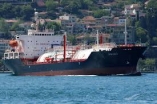 MV BEXPETRO 1 - DEVIATION ADJUSTMENT AND CERTIFICATE ISSUANCE FOR MAGNETIC COMPASS IN VIETNAM