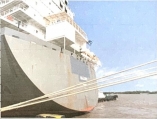 VESSEL NAME REPAINTING/ DRAWING/ CHANGING IN CATLAI TERMINAL - HO CHI MINH PORT, VIETNAM.