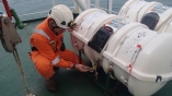 LIFE SAVING APPLIANCES (LSA) AND FIRE FIGHTING APPLIANCES (FFA) ANNUAL INSPECTION/ SERVICES/ MAINTENANCES FOR VESSEL AT VUNG TAU ANCHORAGE, VIETNAM.