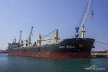 MV HONY WORLD - UNDER WATER INSPECTION/ UNDER WATER CLEANING/ PROPELLER POLISHING AT CAM PHA/HON GAI/ HA LONG ANCHORAGE, VIETNAM 