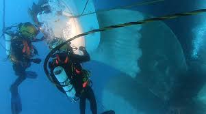 PHOTOS – DIVING REPORT OF UNDERWATER INSPECTION FOR THE VESSEL AT PHUOC LONG BUOY, HO CHI MINH PORT